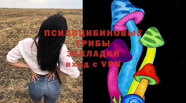 сатива Рославль