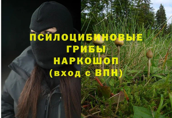 молекула духа Сафоново